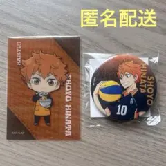 【新品】日向翔陽　缶バッジ　クリアカード