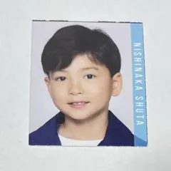 Myojo 明星 デタカ 厚紙 データカード カード 西中秀太