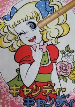 2026年最新】昭和キャンディキャンディの人気アイテム - メルカリ