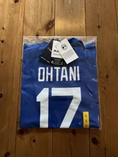 Item thumbnail for item d6cc352a-6903-450e-9095-c6c8ad280125