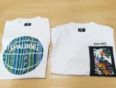 Item thumbnail for item 0fe39ecf-6ba5-4cae-a157-404b23989ab8