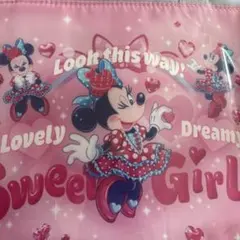 ミニー　ファンダーランド　パルパルーザ　スーベニア　ランチケース　未使用