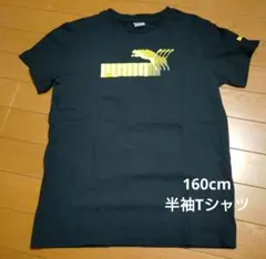 Item thumbnail for item 17263d12-89e7-46db-8f86-d00fc9b9e6b7