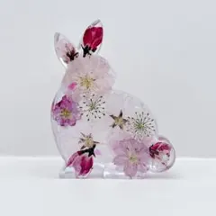 No.472⭐️固まるハーバリウム✨にゃんこ 置物 ネコ - メルカリ