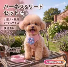 〇ハーネス＆リードセット 小型犬 猫用 ピンク1607 - メルカリ