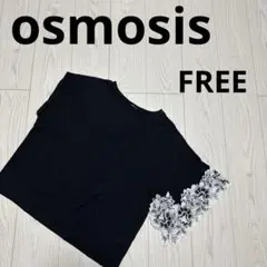 オズモーシス☆ アシンメトリーレースＴシャツ☆FREEのサムネイル