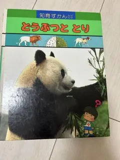 動物と鳥 知育圖鑑