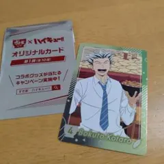 Item thumbnail for item 979d5510-4a8d-4d52-85b8-dc806c0b2a2e