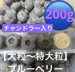 【人気です♪】100円玉級も！大粒～特大粒ブルーベリー200gのサムネイル
