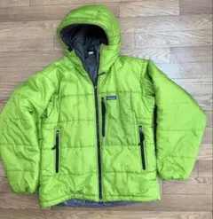 希少2002年製Patagonia DAS PARKAゲッコーグリーンS F02