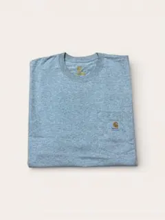 carhartt Tシャツ