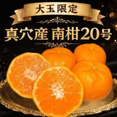 2026年最新】真 穴 の みかんの人気アイテム - メルカリ