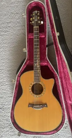 Riversong Guitars 2P GA G2 アコースティックギター - メルカリ