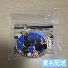 【未開封】ディズニー ジャングルカーニバル アブーズバザール ピンバッジ 夜限定のサムネイル