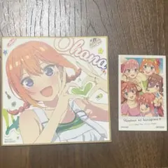 五等分の花嫁 入場者特典 色紙 中野四葉