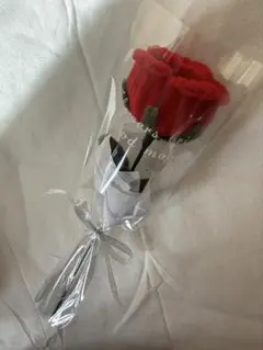 Item thumbnail for item 626ee817-159b-48ac-b58d-49ae118e65b8