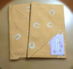 Item thumbnail for item fc30150e-d5e4-4e62-ba75-c96b27cc06ea