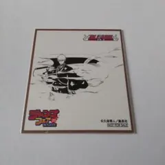 ジャンプフェア in アニメイト2025 特典 ミニ色紙 BLEACH