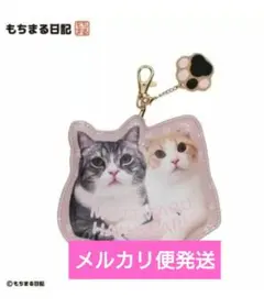 Item thumbnail for item 8681973d-0764-47a5-9592-9cca794c1d9d