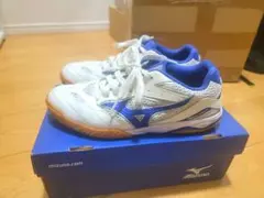 Item thumbnail for item fe8620bb-f3ad-44f7-9ada-d1be5a84cc17