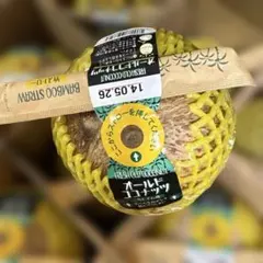 Fresh Old Coconut ココナッツ　ストロー付き　12個入りのサムネイル