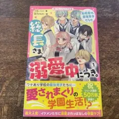 総長さま、溺愛中につき。 1