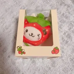 NCT WISH サクヤ Wishberry Bakery マスコット いちご - メルカリ