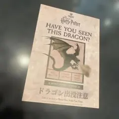 ハリー・ポッター ドラゴン出没注意 ポストカード