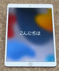 iPad pro 10.5インチ【2203114】-2