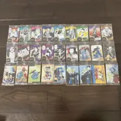 鋼の錬金術師 まとめ売り セミコンプ　キャラクターカード 27枚セット