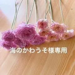 ❇️春色ᕷ*.° ラナンキュラス❣️2種類