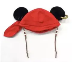 ディズニーリゾート ミッキー カリブの海賊 パイレーツオブカリビアン