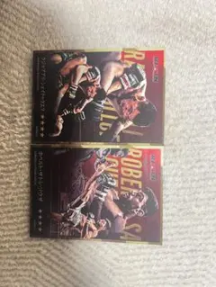 ボクシングカード ロバート・サトシ・ソウザ 2枚セット