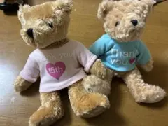 Item thumbnail for item 591b101b-d693-46af-9ec9-0d179b2bf3bc