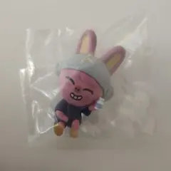 Stray Kids スキズ SKZOO チャンビン トェッキ DWAEKKI