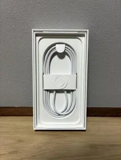 Apple USB-C 充電ケーブル 編み込みタイプ