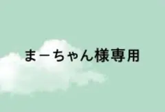 まーちゃん様専用