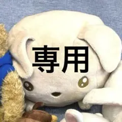 専用⭐︎