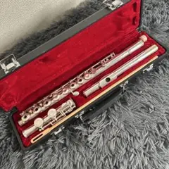 美品】ゴウ ニューボイスフルート GUO New Voice Flute - メルカリ