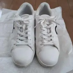 Item thumbnail for item 13d91e53-cd2c-4fb7-8699-73801f3fd23b