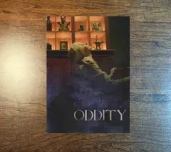 視える パンフレット