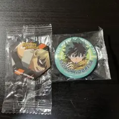 ヒロアカ