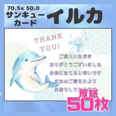 【イルカ】50枚 サンキューカード　メッセージカード　手書き風　厚紙　海