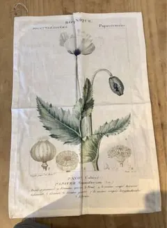 グランシュマン　アトラスフルール　トーションアソート6 A