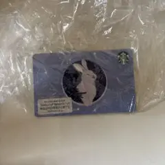 スターバックスコーヒーカード　てんさん専用