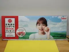 大人気 PFUブルーキャッツ 川添美優 メッセージ入りサインボールと