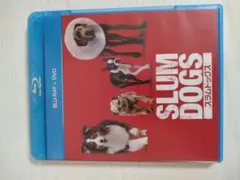 Item thumbnail for item d4ea8982-9c5a-41d3-946b-3488a2327b50