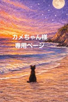 カメちゃん様専用ページ シマエナガ