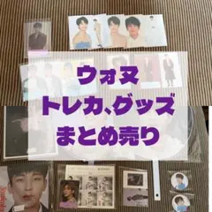 SEVENTEEN ウォヌ トレカ・グッズ まとめ売り