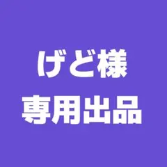げど様 専用出品 キャラ 資料